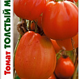 Томат (Помидор) обыкновенный Толстый Монах