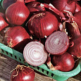 Лук репчатый Ред Барон